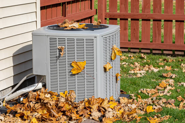 Best HVAC Companies Near Me  in Scandia, MN